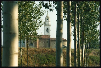 Church and poplars